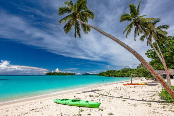 Amazing port orly sandy beach with palm trees, espiritu santo island, vanuatu.